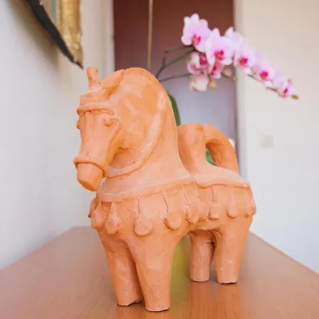 Todorovic - Macan Daire Pula