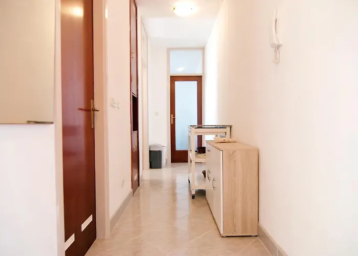 Todorovic - Macan Daire *