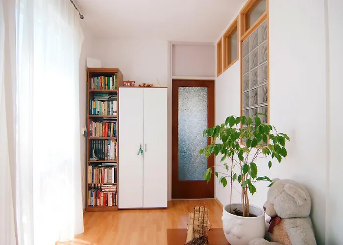 Todorovic - Macan Daire Pula