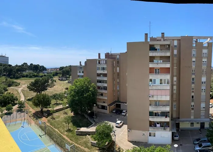 Daire Todorovic - Macan *