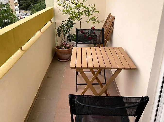 Todorovic - Macan Daire Pula